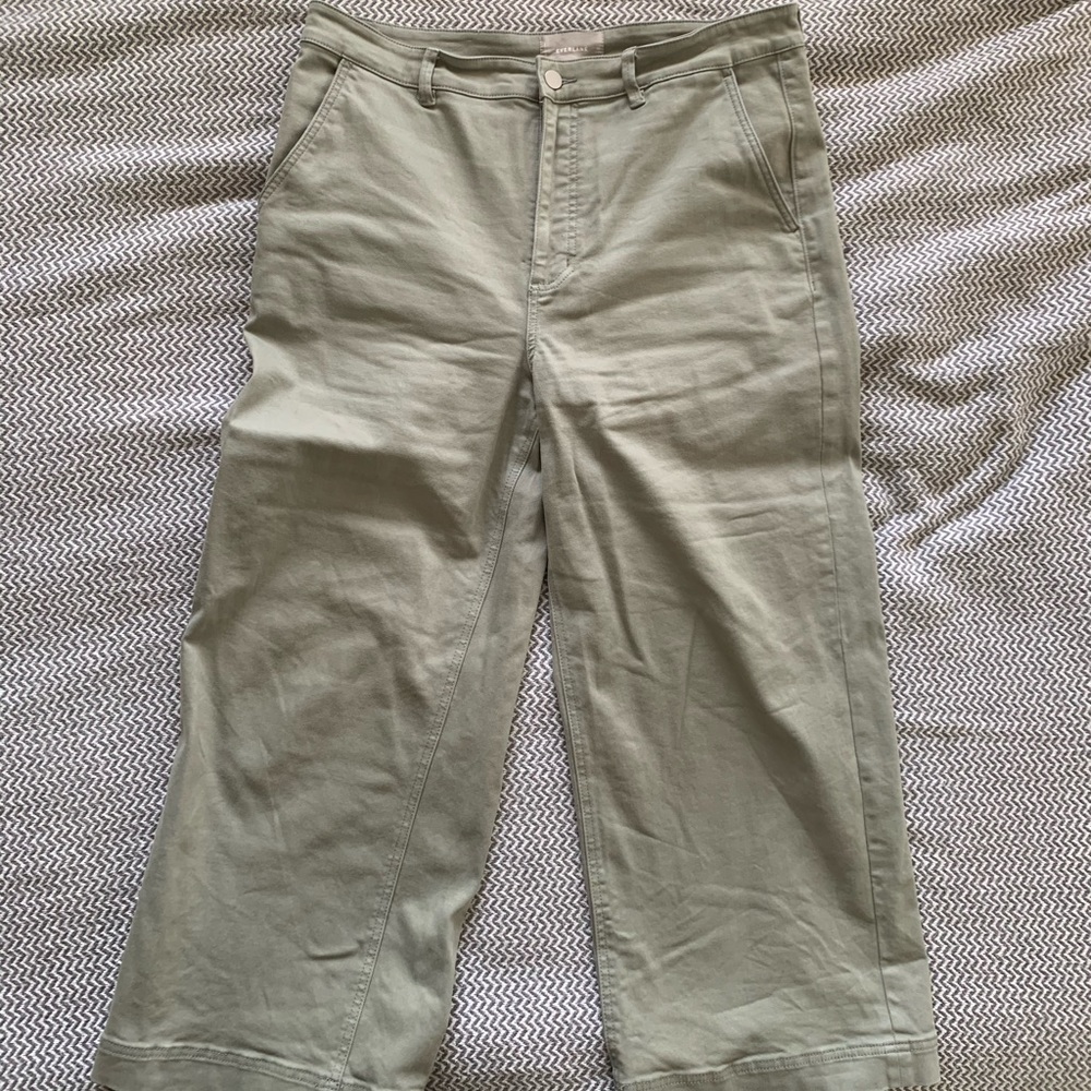 Everlane Wide Leg Crop in Sage Green
